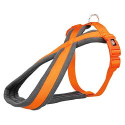 Nylonový postroj PREMIUM podšitý - papaya