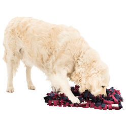Dog Activity SNIFFING CARPET čichací koberec 50 x 34 cm