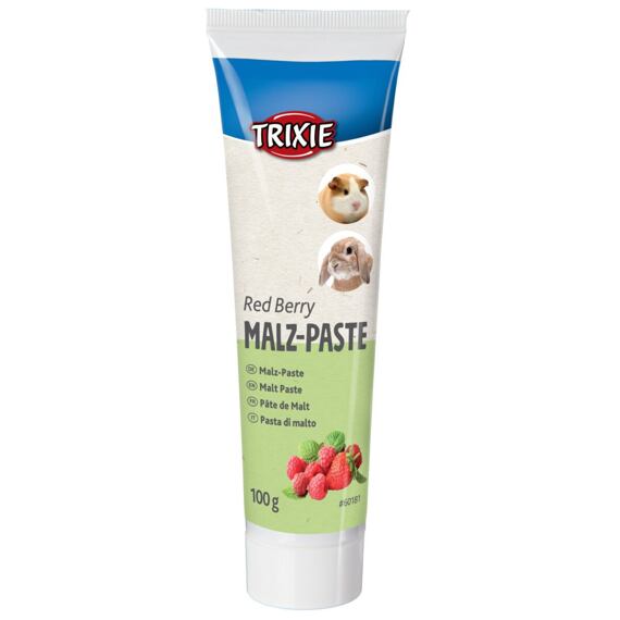 Sladová pasta pro hlodavce Multifruit  - mix ovoce,  100g