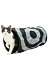 PHO_PRO_CAT_CLIP_4301-3.jpg