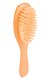PHO_PRO_CLIP_2326-1.jpg