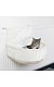 PHO_PRO_CAT_43140-2.jpg