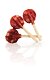 KIDDOG BUFFET LOLLIPOP lízátko s kachním masem a sýrem 9 cm/8 g [100ks]