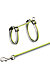 PHO_PRO_CLIP_41862-3.jpg