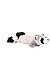 PHO_PRO_CLIP_35989-1.jpg