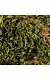 PHO_PRO_CLIP_76155-2.jpg