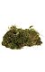 PHO_PRO_CLIP_76155-3.jpg