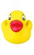 PHO_PRO_CLIP_3570-5.jpg