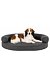 PHO_PRO_DOG_CLIP_38233-38234-1.jpg