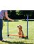 Agility set 