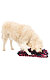 Dog Activity SNIFFING CARPET čichací koberec 50 x 34 cm