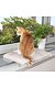 PHO_PRO_CAT_4328-2.jpg